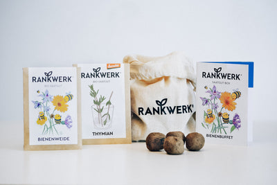 Saatgut-Box „Bienenbuffet“ mit Blumensamen