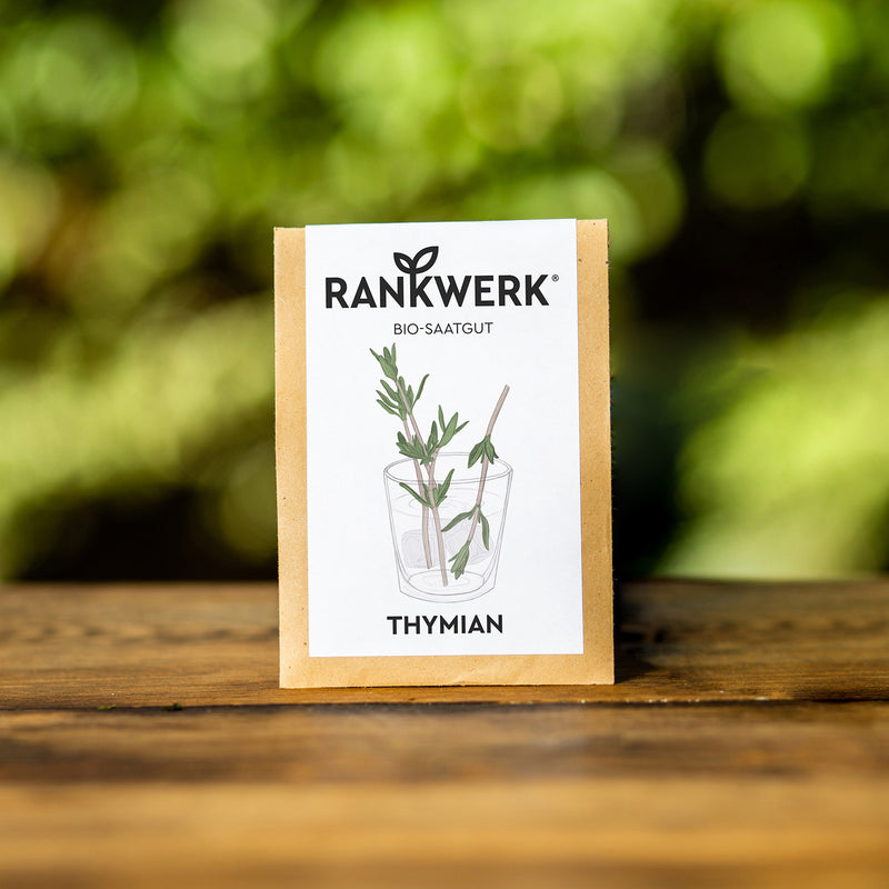 Thymian "Deutscher Winter"