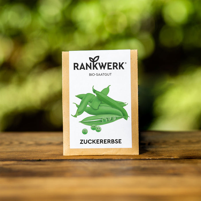 Zuckererbse "Norli" EU BIO