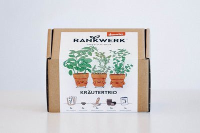 Bio Saatgut-Box „Kräutertrio“ mit Kräutersamen